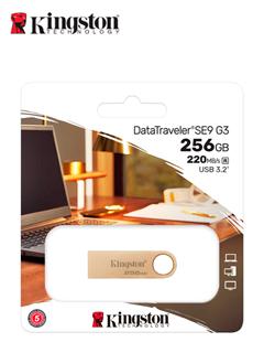 DTSE9G3/256GB